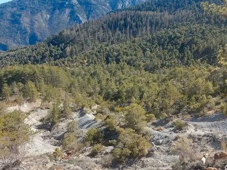 recherche terrain en location vente