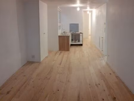 loue appartement 60m2 plein centre ville