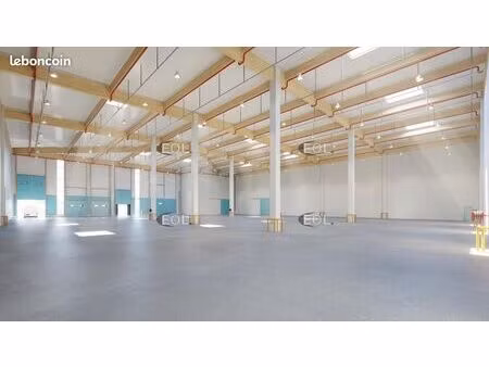 local logistique 3 203 m²