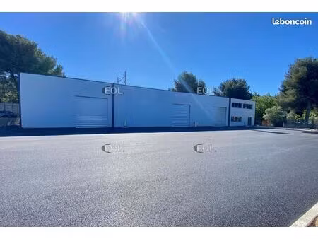 local d'activité 660 m²