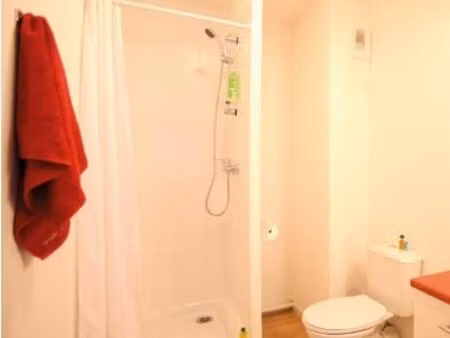 studio 1 pièce 17 m²
