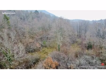 terrain 39 987 m² saint die des vosges