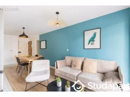 chambre 1 pièce 45 m²