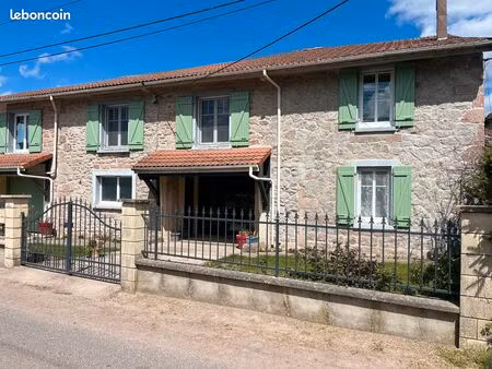 maison + gîte indépendant – 160 m² – 4000 m² terrain – vosges