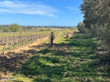 terrain viabilisé 360 m2 a ginestas