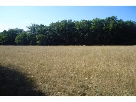 terrain à régusse de 700m2 à 77 000€ avec permis accordé