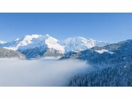 terrain coteau du bettex