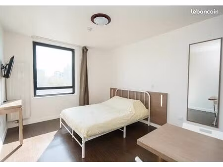 studio 1 pièce 19 m²