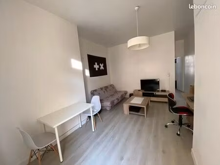 appartement meublé hypercentre (émile zola)