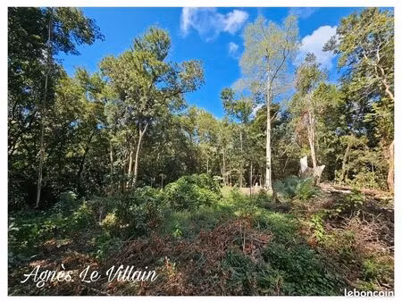 terrain 3 123 m² bouillante