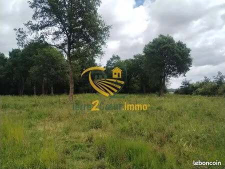 terrain 4290 m² saint-martin-d'auxigny