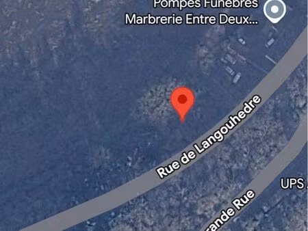 terrain boisé