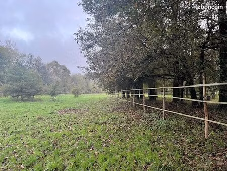 terrain de 2 hectares à louer