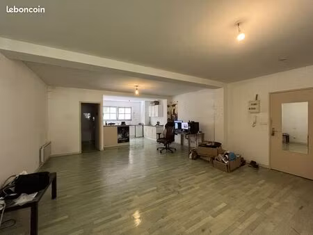 loft/atelier/surface 1 pièce 54 m²