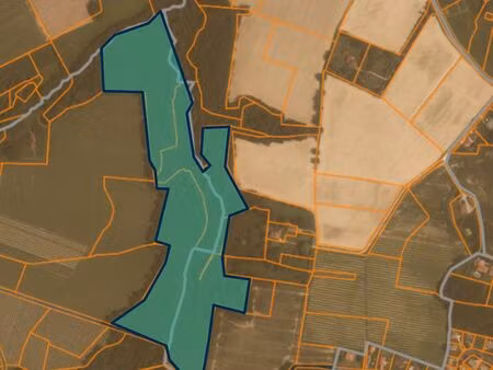 13 6 ha de bois à vendre à eauze