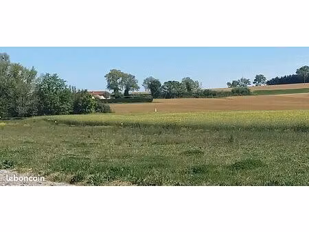 immobilier terrain constructibles