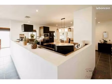 appartement 7 pièces 177 m²