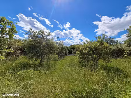 terrain 10825 m² moussac
