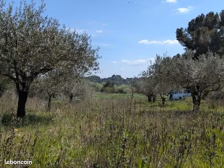 terrain agricole 2 381 m² fournes