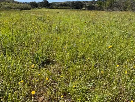 terrain agricole