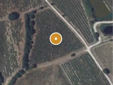 terain  agricole