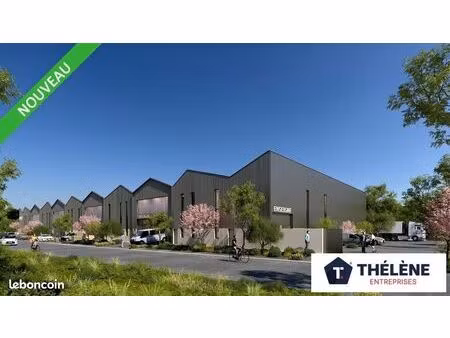 local d'activite 488 m² lattes