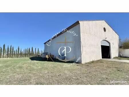 vente hangar agricole 300m² sur 3189 m² de terrain aigues-mortes