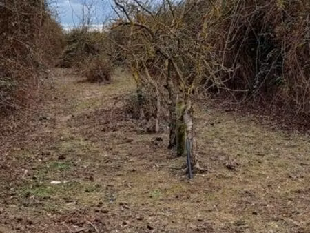 terrain agricole