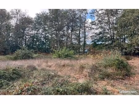 terrain 930 m² salaunes