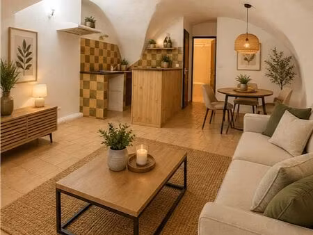 élégant t2 voûté de 43 m²- cournonterral