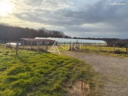 terrain 13500 m² sergenaux