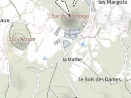 parcelle forestière reboisée