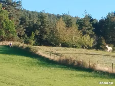 terrain agricole ou boisé