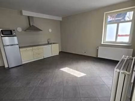 appart avec jardin d'1 chambre au centre-ville.