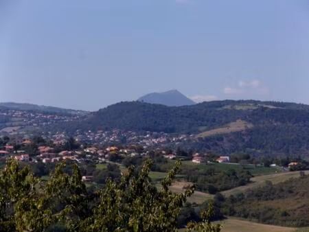 terrain