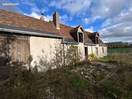 vente | corps de ferme | 120 m² | monnaie