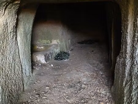 cave troglodyte