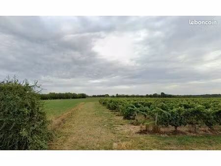 terrain 528 m² notre dame d allencon