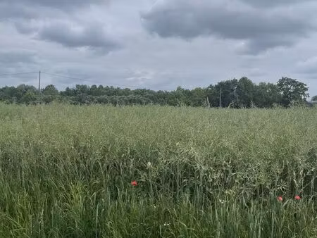 terrain 4000 m² chalonnes-sur-loire