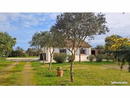 maison et studio sur 5000m2