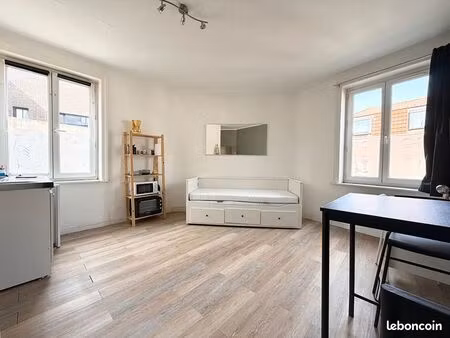 studio 1 pièce 20 m²