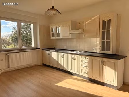 grand appartement 2 pièces rénové – 63 m² – rez-de-chaussée – parking jardin & cave