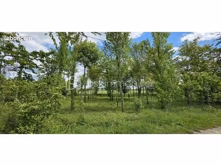 terrain 1 290 m² cramoisy