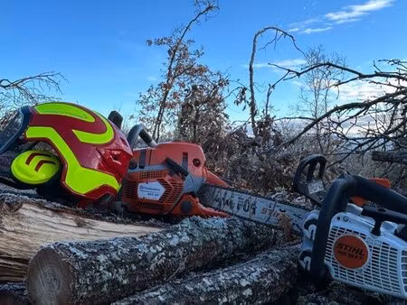 rechercher bois sur pied ou parcelle à vendre