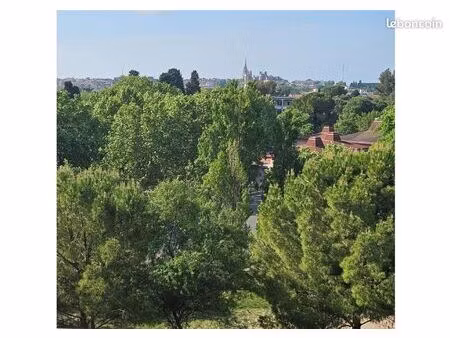 5 pièces  111 m2   boutonnet - ste odile