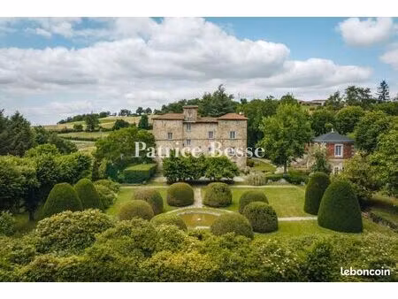 château 12 pièces 1 250 m²