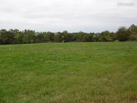 terrain constructible
