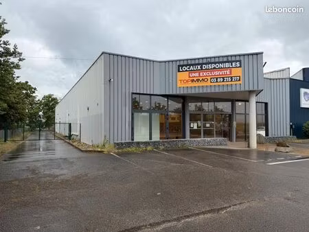 local 709 m² colmar