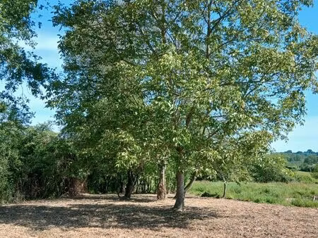 terrain d’agrément