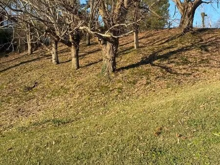 terrain 14 782 m² mouguerre
